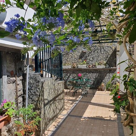 Apartamento Quintal D'Angra Angra do Heroísmo Exterior foto